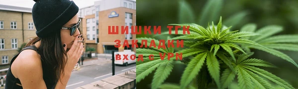 ГАЛЛЮЦИНОГЕННЫЕ ГРИБЫ Алзамай