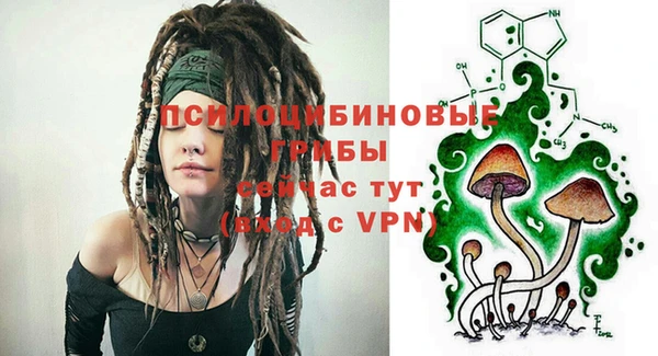 ГАЛЛЮЦИНОГЕННЫЕ ГРИБЫ Алзамай