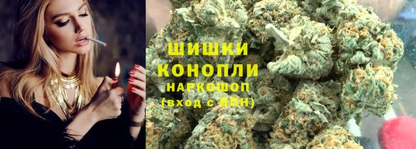 ГАЛЛЮЦИНОГЕННЫЕ ГРИБЫ Алзамай