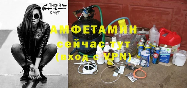 ГАЛЛЮЦИНОГЕННЫЕ ГРИБЫ Алзамай