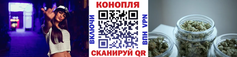 Конопля Ganja  Суджа 
